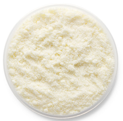 Granarolo Pecorino Romano Grated Cheese - LB - Image 1