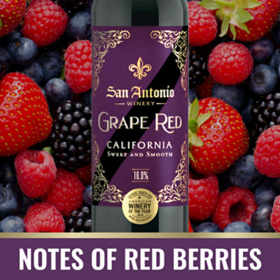 San Antonio Grape Red Wine - 750 ML - Image 3