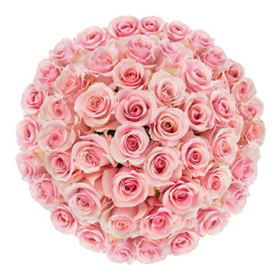 Free Shipping - Pink Roses 50 Stems Fresh Flowers Delivery - Image 1