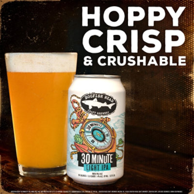 Dogfish Head  30 Minute Light Ipa - 12-12 FZ - Image 4