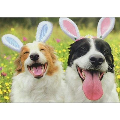 Two Smiling Dogs Wearing White, Pink and Blue Bunny Ears Easter Card - Image 1