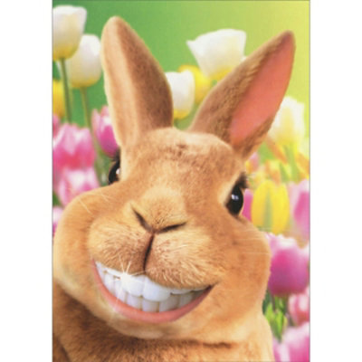 Quirky Bunny Rabbit Showing Off Big Smile with Shiny White Teeth Easter Card - Image 1