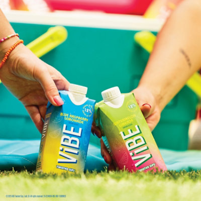 Vibe Watermelon Limeade 500 Ml Wine - 500 ML - Image 6