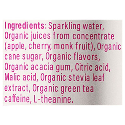 Guru Energy Fruit Punch 12fz - 12 FZ - Image 4