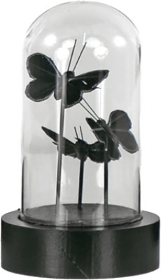 Overjoyed Boutique Moth Dome Decor Small - Each - Image 1