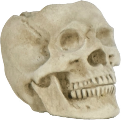 Overjoyed Boutique Cement Skull Small - Each - Image 1