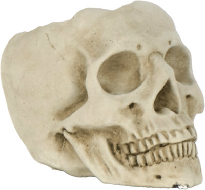 Overjoyed Boutique Cement Skull Large - Each - Image 1