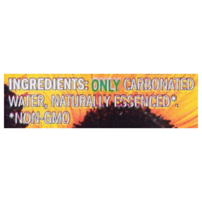 LaCroix Sunshine Sparkling Water - 8-12 Fl. Oz. - Image 4