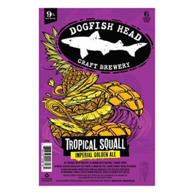 Dogfish Head Tropical Squall 6-12 Fl Oz In Cans - 6-12 FZ - Image 4