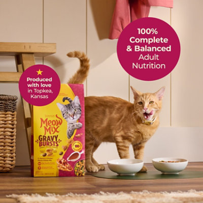 Meow Mix Gravy Bursts Chicken 3lb - 3 LB - Image 2