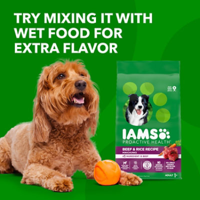 IAMS Proactive Health Beef and Rice Recipe Adult Dry Dog Food - 7 Lb - Image 4