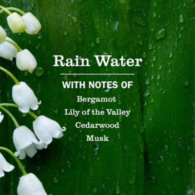 Mrs. Meyer's Clean Day Room Freshener, Rainwater Scent - 8 Oz - 8 FZ - Image 2