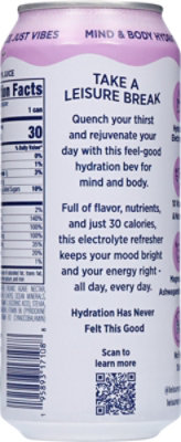 Leisure Hydration Wild Blueberry 16fz - 16 FZ - Image 6