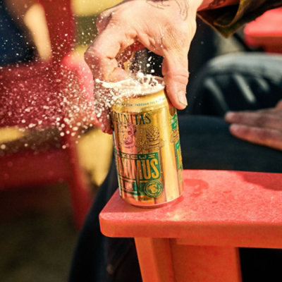 Lagunitas Hazicus Maximus 6pk In Cans - 6-12 FZ - Image 5