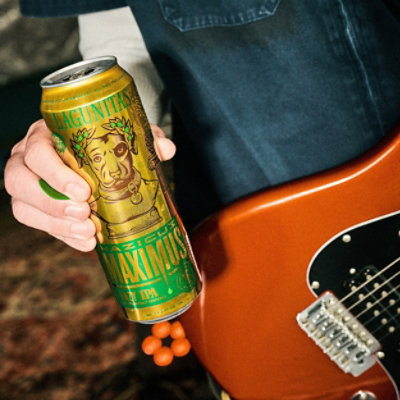 Lagunitas Hazicus Maximus 12-19.2 Fl Oz In Cans - 19.2 FZ - Image 5