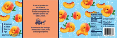 Polar Seltzer Georgia Peach 12-12fz - 12-12FZ - Image 5
