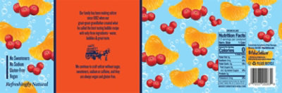 Polar Seltzer Cranberry Clementine 12-12fz - 12-12FZ - Image 5