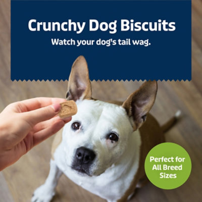 Blue Health Bar Mini Apple & Yogurt 16 Oz - 16 OZ - Image 4