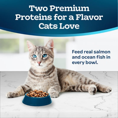 Blue Buffalo Tastefuls Adult Cat Dry Food Multi-Protein Chicken & Turkey Recipe - 5 LB - Image 3