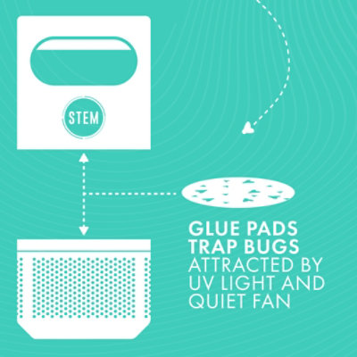 Stem Indoor Fan Trap Refill 5pk/ 8 Ct - 5 CT - Image 4