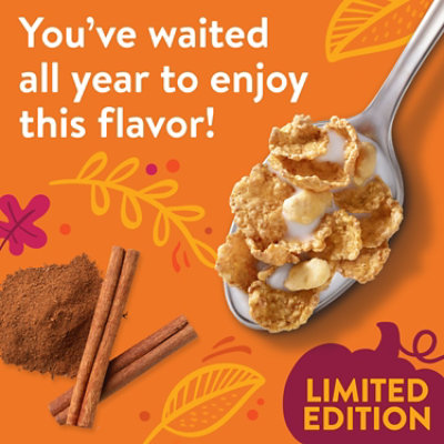 Spk Cereal Pumpkin Spice 15.6oz - 15.6 OZ - Image 3