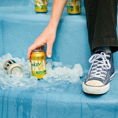 Lagunitas Hazy Ipa 6-12 Fl Oz In Cans - 6-12 FZ - Image 5