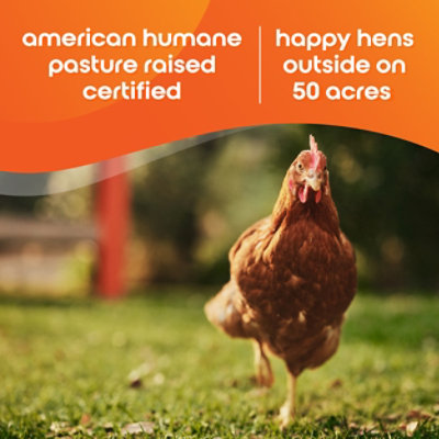 Happy Egg Pasture Raised 12ct - 12 CT - Image 3