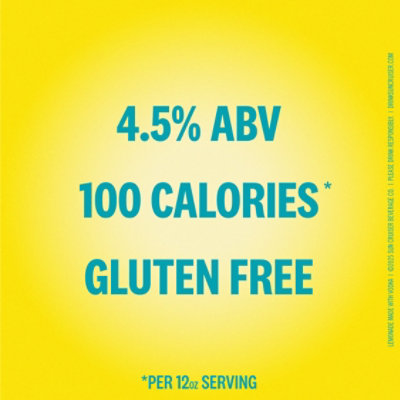 Sun Cruiser Vodka Lemonade - 8-12 FZ - Image 3