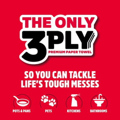 Brawny 1m 3ply Display Pallet - EA - Image 2