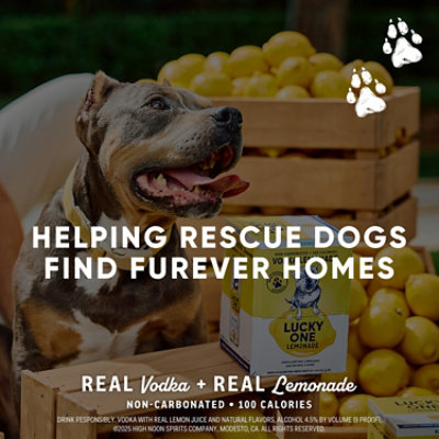 Lucky One Lemonade Original 4pk - 4-355 ML - Image 4