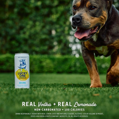 Lucky One Lemonade Original 4pk - 4-355 ML - Image 4