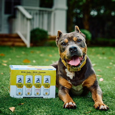 Lucky One Lemonade Variety Pack - 8-355 ML - Image 4