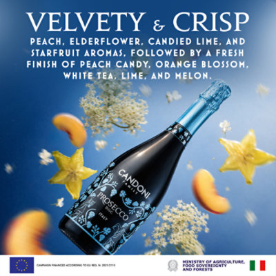 Candoni Prosecco  Wine - 187 Ml - Image 2