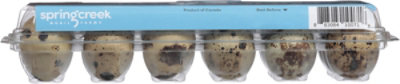 Spring Creek Fresh Quail Eggs - 18 Count - Image 4
