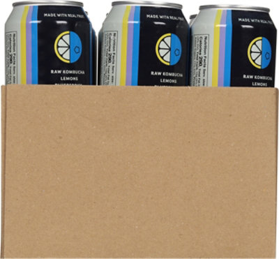 Boochcraft Citrus Berry 19.2oz In Cans - 19.2 FZ - Image 3