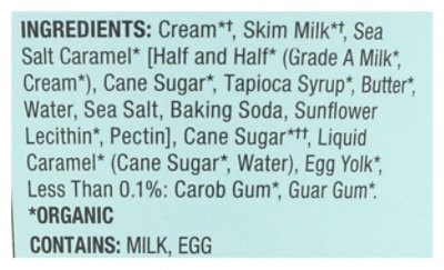 Alecs Organic Sea Salt Caramel Ice Cream, 14 Fluid Ounce (Pack of 8) - Image 3