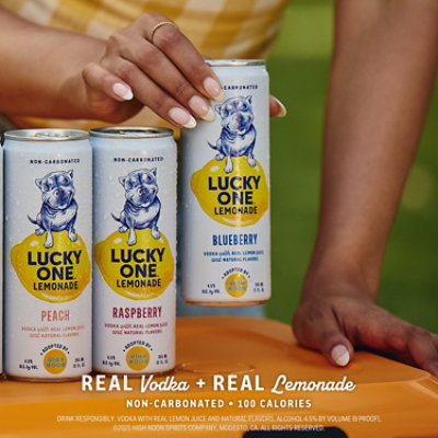 Lucky One Lemonade Blueberry 4pk - 4-355 ML - Image 6
