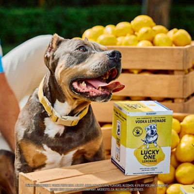 Lucky One Lemonade Blueberry 4pk - 4-355 ML - Image 3