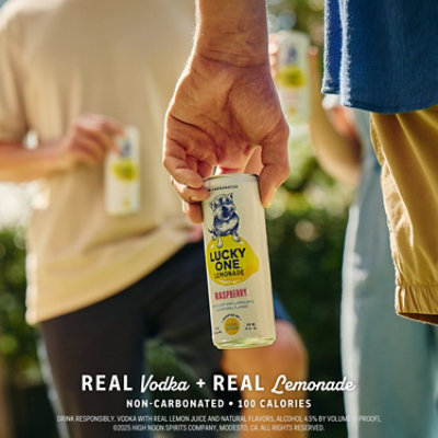 Lucky One Lemonade Raspberry 4pk - 4-355 ML - Image 4