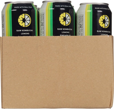 Boochcraft Pineapple Lemon, 19.2oz In Cans - 19.2 FZ - Image 3