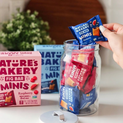 Natures Bakery Mini Raspberry Fig Bars 20 Count 1 Ounce - 20 CT - Image 4