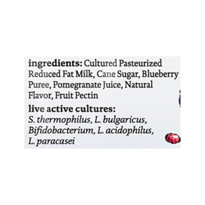 Siggis Protein Pack Blueberry Pomegranate Ss 4.5oz - 4.5 OZ - Image 4