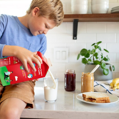 Horizon Milk Whole - GA - Image 3