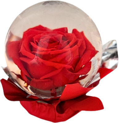 Rose Globe Minis - Each - Image 1