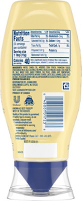 Hellmann's Garlic Parmesan Chicken Tender Mayo Dip - 11.5 Fl. Oz. - Image 7
