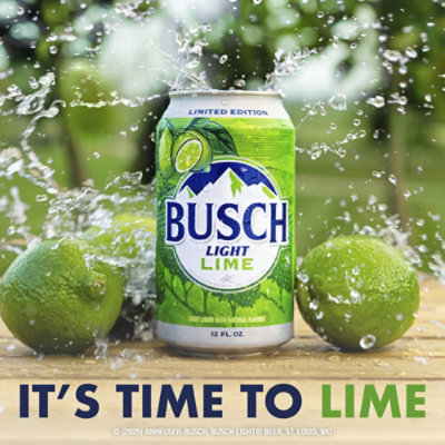 Busch Light Lime 12-12 Fl Oz In Cans - 12-12FZ - Image 2