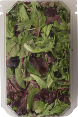 Hippo Harvest Spring Mix Organic 10oz - 10 OZ - Image 3