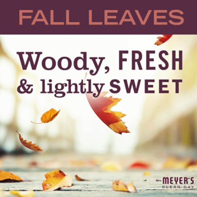 Mmcd Hand Soap Fall Leaves - EA - Image 3