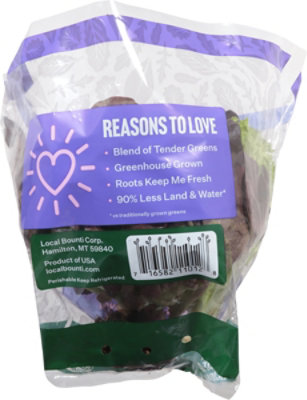 Local Bounti Living Spring Mix Lettuce - EA - Image 3