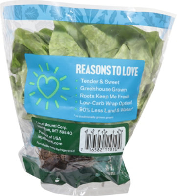 Local Bounti Living Butter Conv Lettuce - EA - Image 3